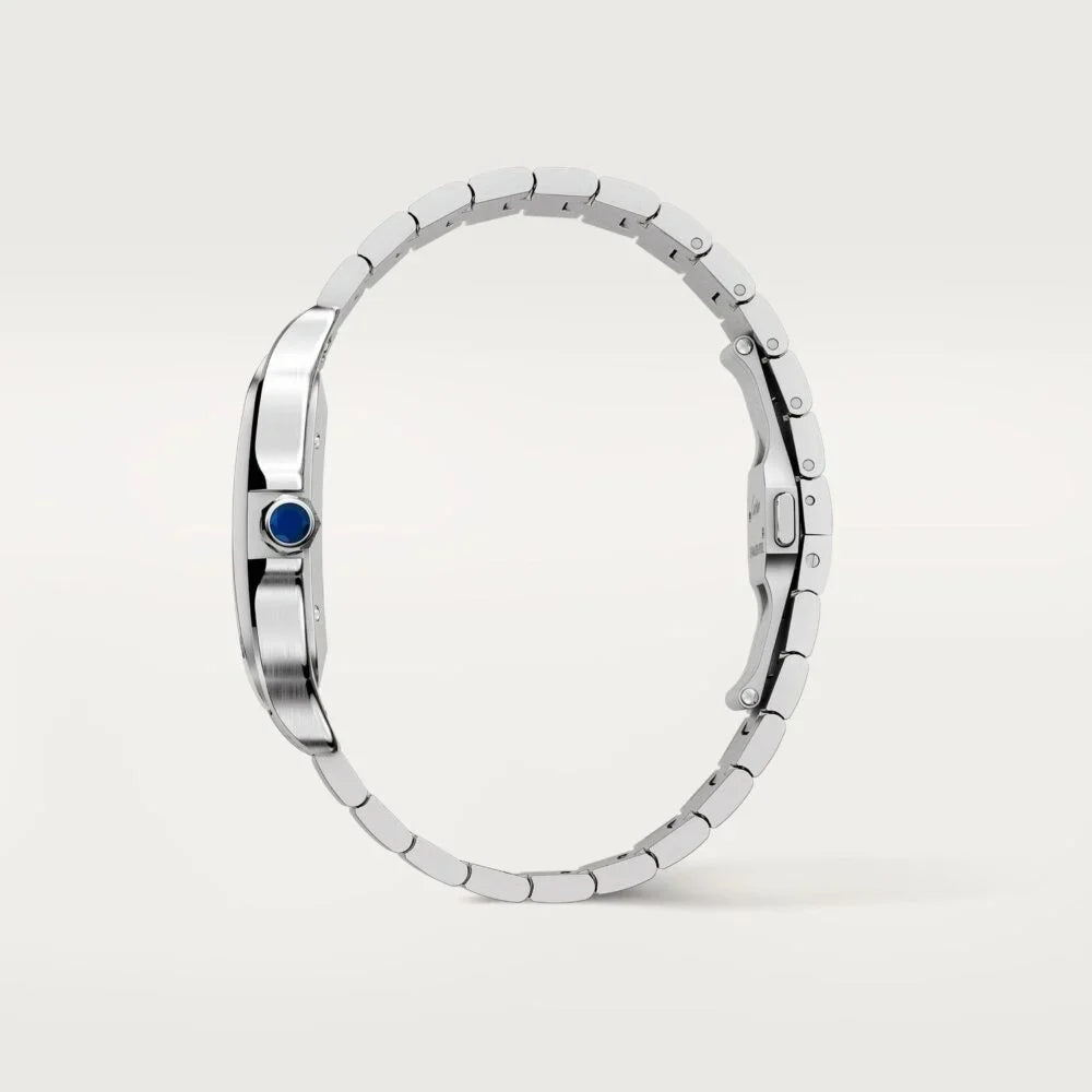 CARTIER SANTOS DE CARTIER MODEL | WSSA0018