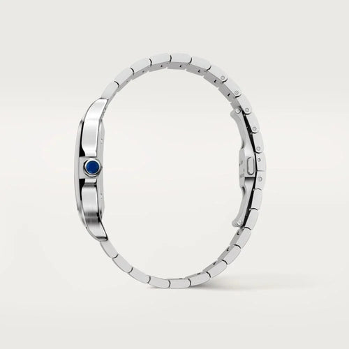 CARTIER SANTOS DE CARTIER MODEL | WSSA0018